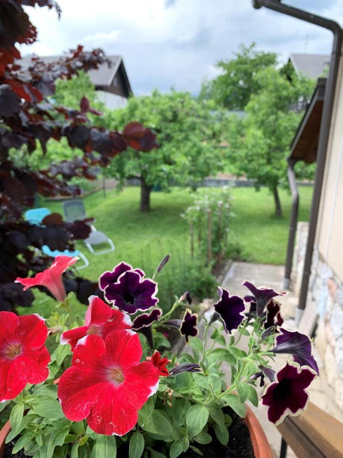 Vila House Amalia Bled Exteriér fotografie